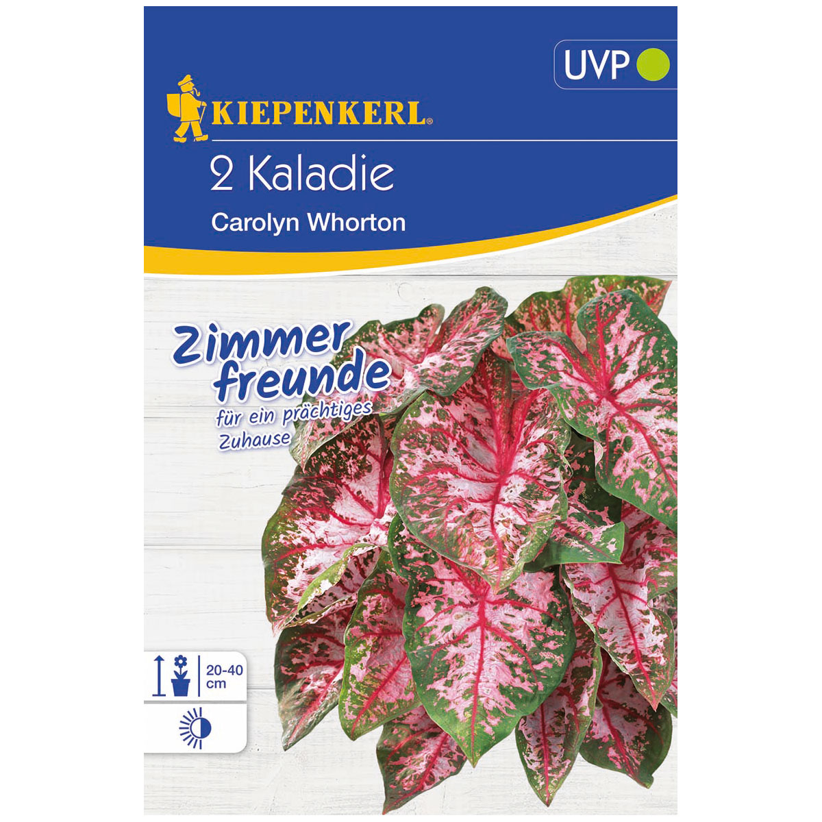 Kiepenkerl Kaladie Carolyn Whorton Größe 2 2 Stück | 111452
