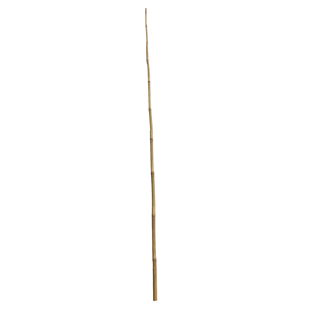 Wingart Bambusstab 180 cm | 245235