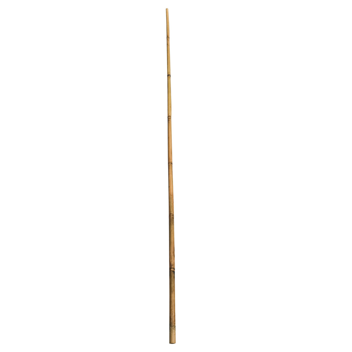 Wingart Bambusstab 240 cm | 245246