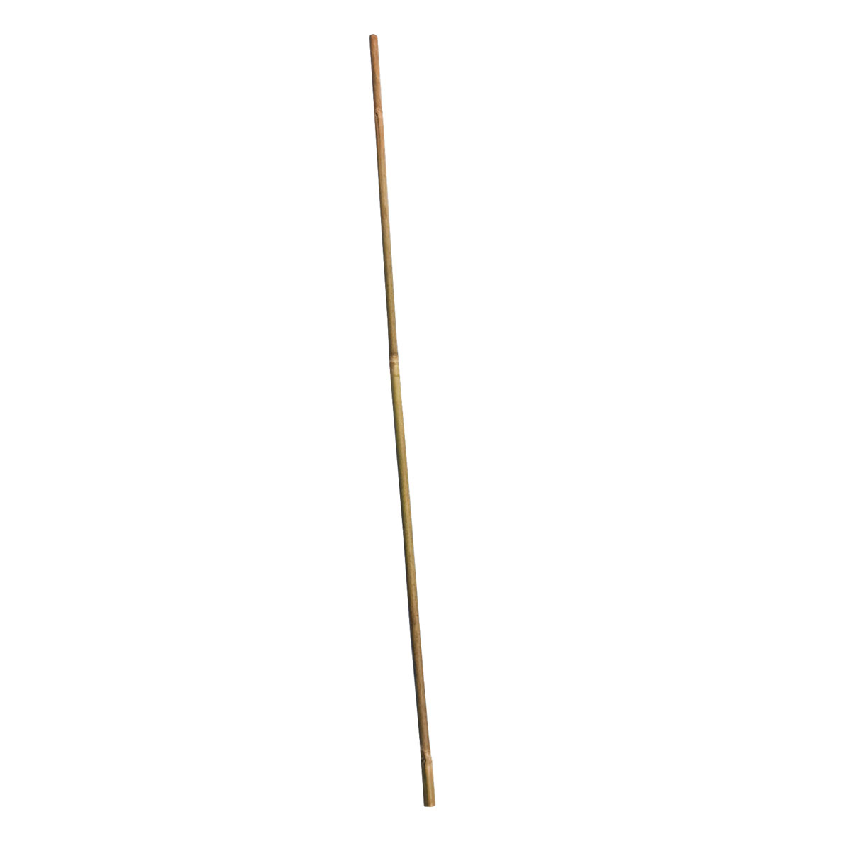 Wingart Bambusstab 60 cm | 245265