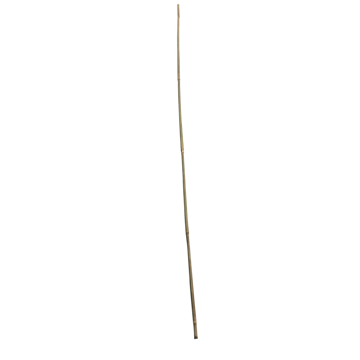 Wingart Bambusstab 120 cm | 245276