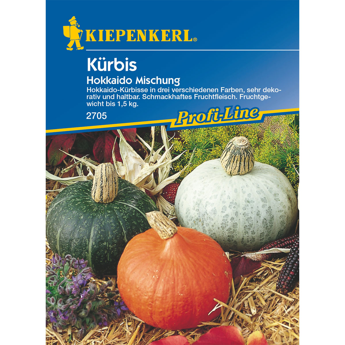Kiepenkerl Kürbis Hokkaido Mischung | 246947