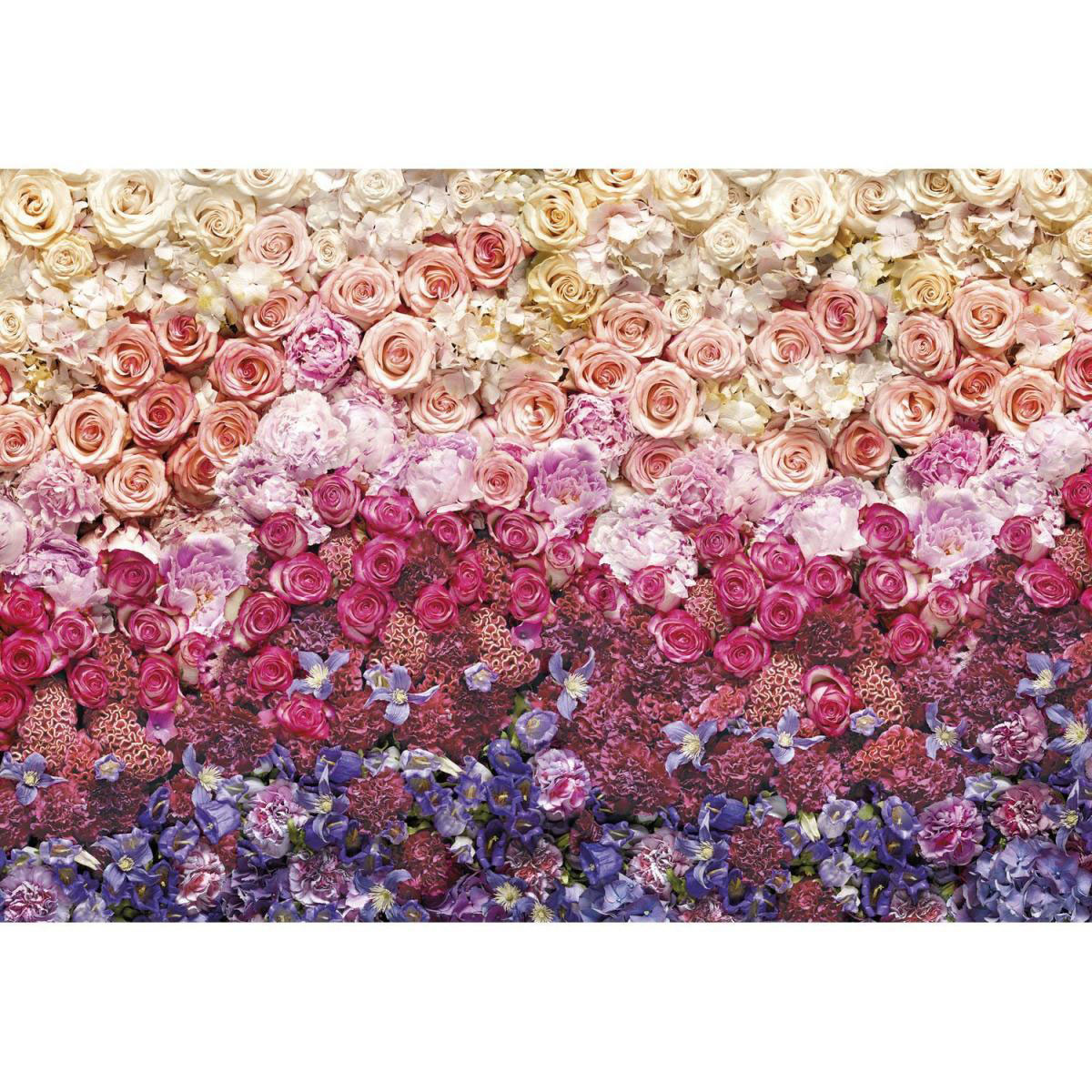 Komar Papier-Fototapete Intense 8-teilig 368 x 254 cm | 256131
