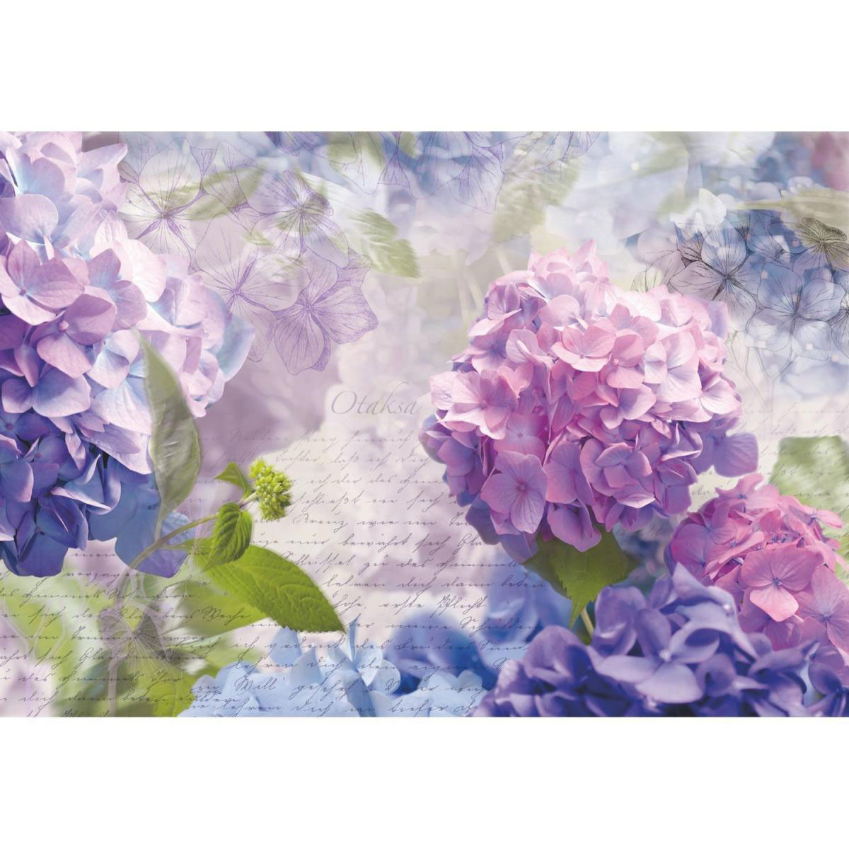Komar Papier-Fototapete Otaksa 8-teilig 368 x 254 cm | 256153