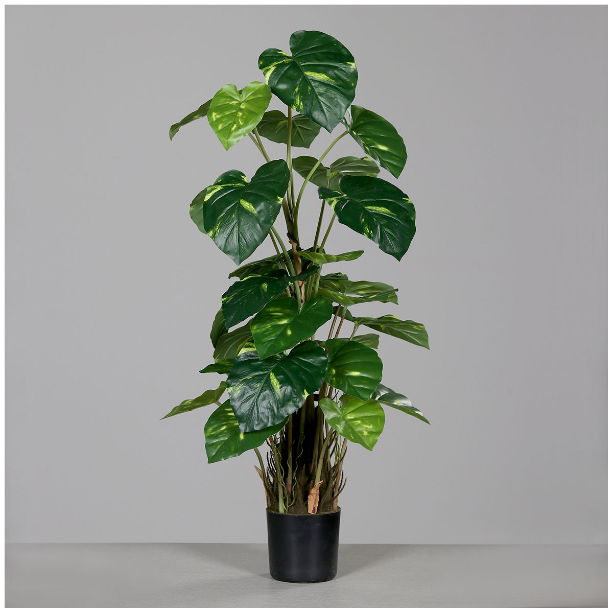 Efeu Tute schwarzer Kunstofftopf 82 cm | 522132
