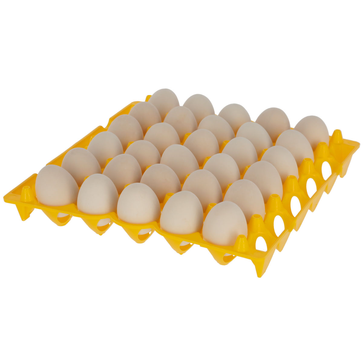 Eieraufbewahrung für 30 Eier gelb | 527056