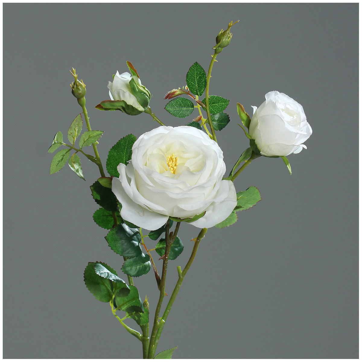 Rose mit Knospen 60 cm cream | 934230