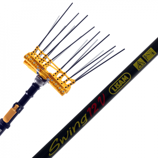 Elektrischer Akku-Olivenru00fcttler Lisam Swing - mit 8 + 8 Zinken aus Kohlestofffaser  - Teleskopschaft