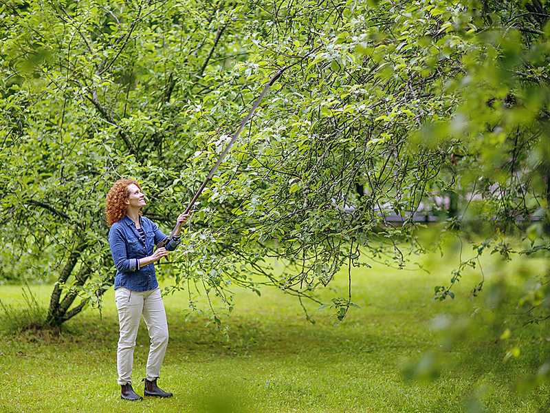 Fiskars Light UP69 - Gartenschere mit schwenkbarem Aluminiumstiel  -- u00d8 12 mm