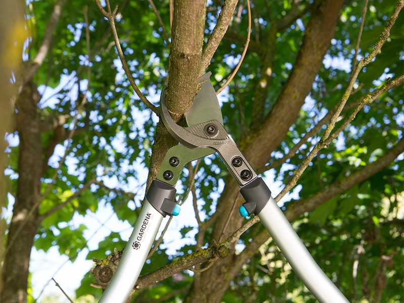Gardena 700B Premium - Bypass-Baumschere - Lu00e4nge 70 cm