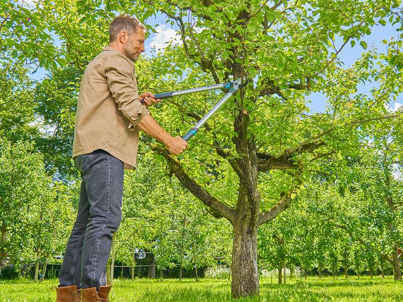 Gardena EasyCut L - Bypass-Astschere - Lu00e4nge 67 cm