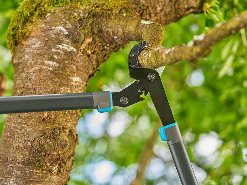 Gardena EnergyCut Pro L - Amboss-Astschere - Lu00e4nge 75 cm
