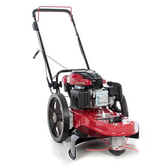 GeoTech DG 58 F - Fadenmu00e4her auf Ru00e4der ohne Radantrieb - mit Benzinmotor Loncin 196 ccm