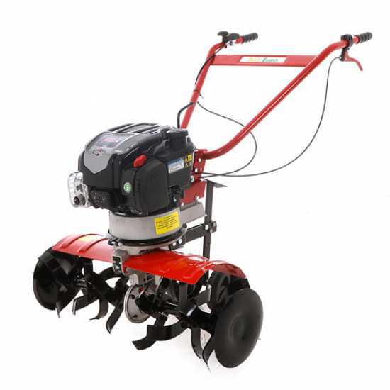 Motorhacke AgriEuro Rotalux 52A B55 mit B&S Motor 163 ccm - 1 Vorwu00e4rtsgang
